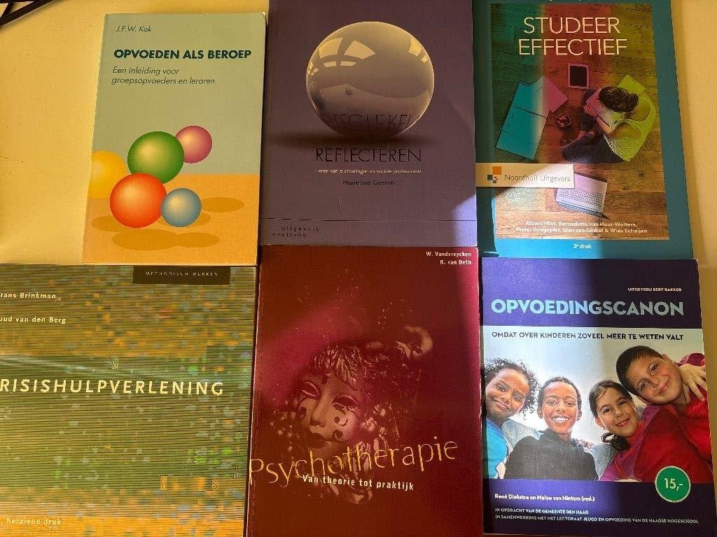 Social work, sociaal pedagogische dienstverlening, Ophalen of Verzenden, Alpha, Gelezen, HBO