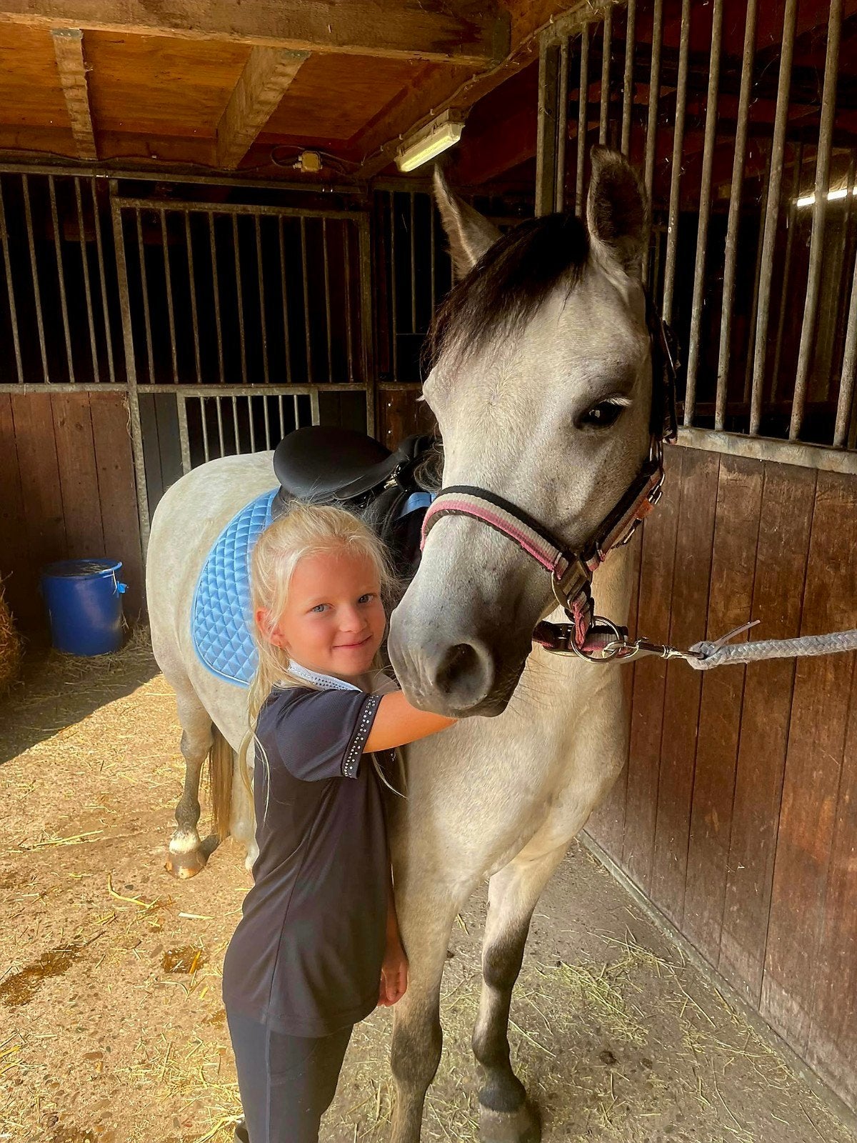 Ontzettend lieve B welsh merrie, Dieren en Toebehoren, Pony's, Merrie, Met stamboom, Zadelmak, 3 tot 6 jaar