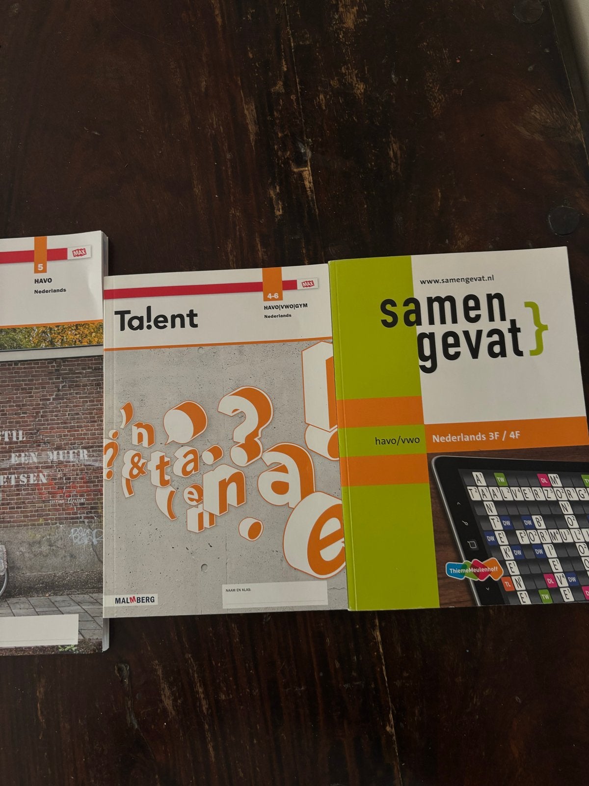 Diverse havo werkboeken en samenvattingen, Boeken, Schoolboeken, Ophalen of Verzenden, Zo goed als nieuw, HAVO, Nederlands