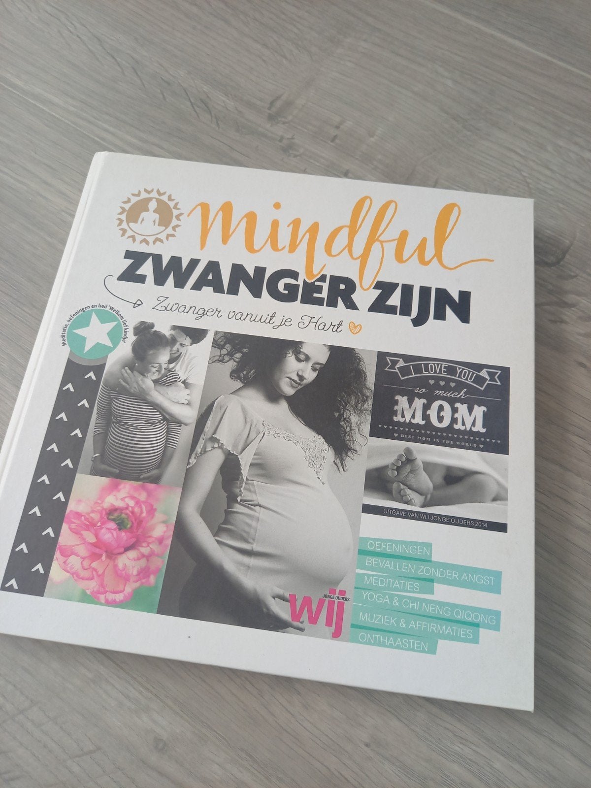 boek mindful zwanger zijn, incl cd, Ophalen, Gelezen, Zwangerschap en Bevalling