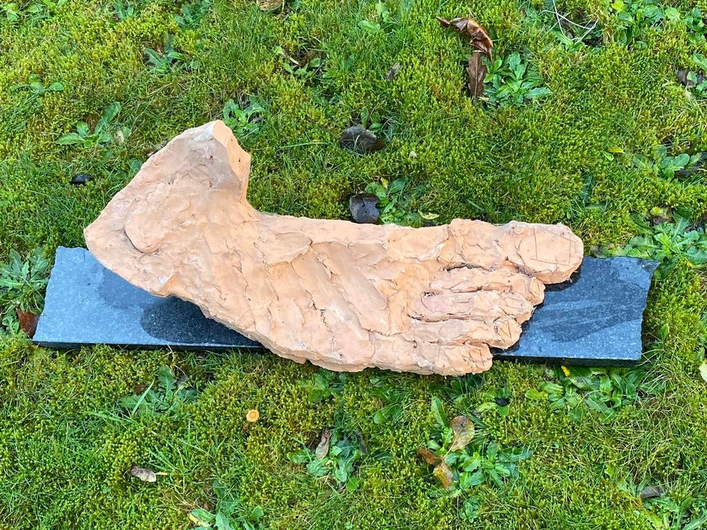 Stappen, Doe-het-zelf en Verbouw, Hout en Planken, Minder dan 25 mm, Ophalen of Verzenden, Zo goed als nieuw, Minder dan 200 cm