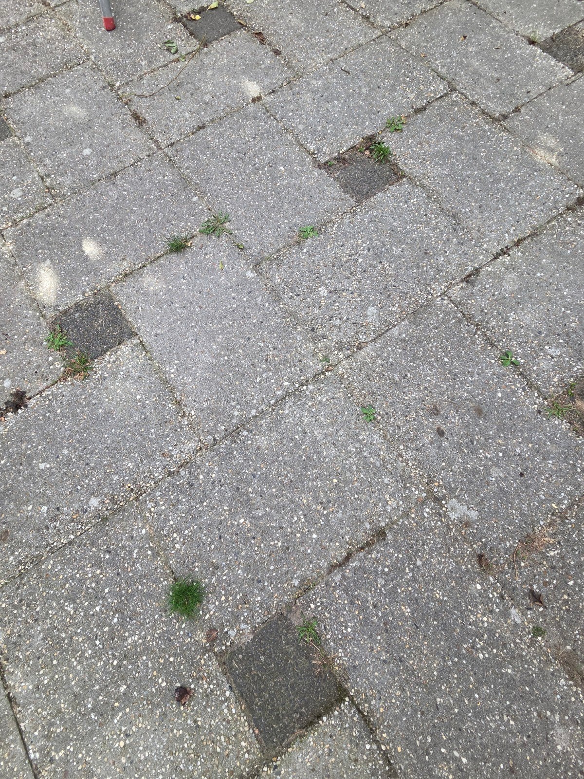 Gratis af te halen: Buitentegels (zelf verwijderen), Ophalen, Gebruikt, Beton, Terrastegels