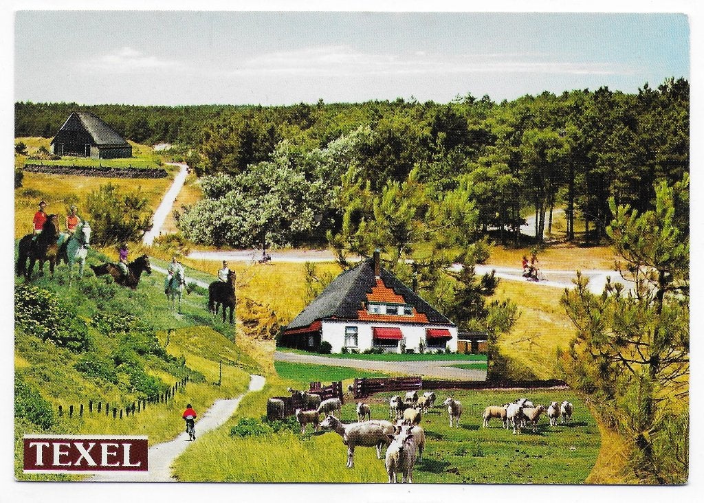 Texel Ongelopen Ansichtkaart ( B4565), Ophalen of Verzenden, 1980 tot heden, Gelopen, Waddeneilanden