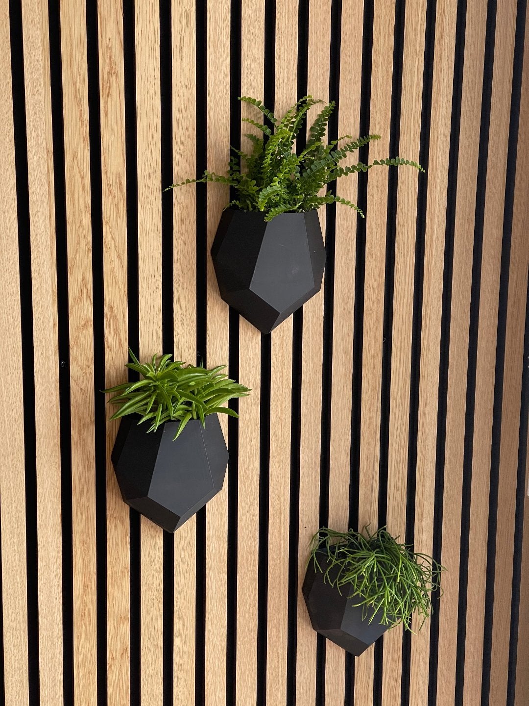Wandplantenpot voor akoestische panelen - Zwart, Tuin en Terras, Kunststof, Ophalen of Verzenden, Overige vormen, Binnen
