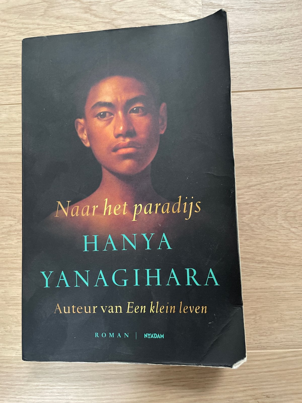 Naar het paradijs - Hanya Yanagihara (Roman), Boeken, Ophalen of Verzenden, Gelezen, Nederland