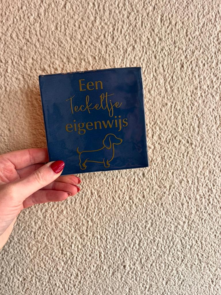 Tegeltje met tekst teckeltje eigenwijs, Ophalen of Verzenden, Nieuw