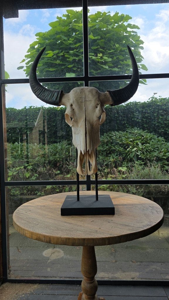 Decoratieve schedel op standaard, Huis en Inrichting, Ophalen, Gebruikt, Meerkleurig, Landelijk