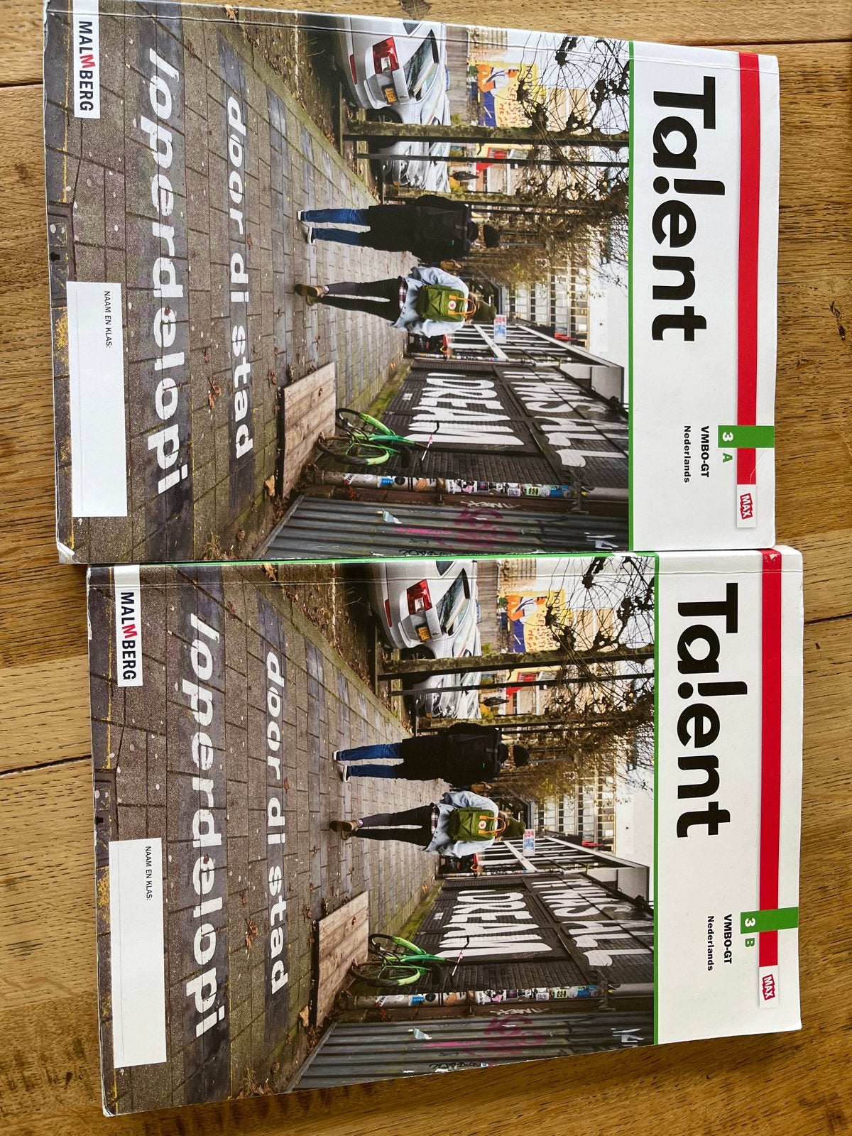 Talent Nederlands VMBO-GT 3A en 3B Malmberg, Boeken, Ophalen, Gelezen, VMBO, Nederlands