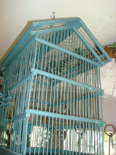 mooie kleur groene vogelkooi, Ophalen of Verzenden