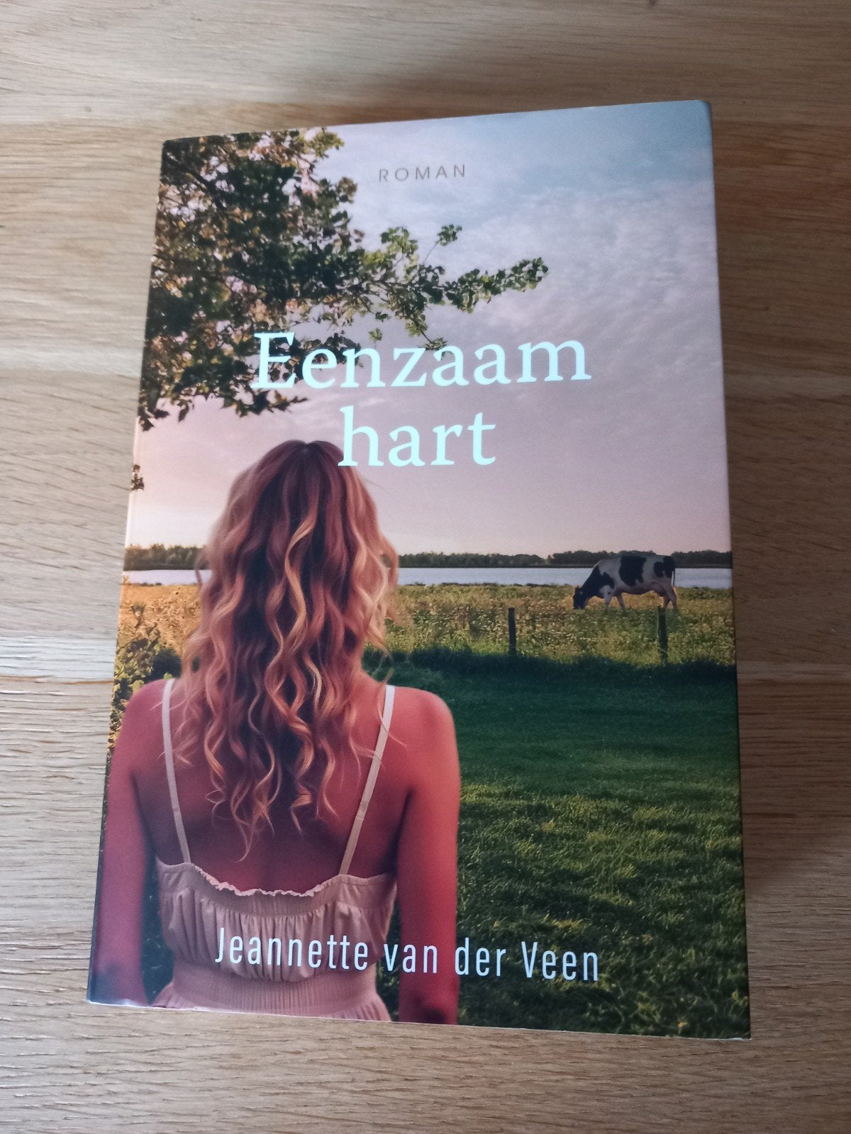 eenzaam hart- jeannette van der veen. chr.roman, Ophalen, Gelezen, Spiritualiteit algemeen, Achtergrond en Informatie