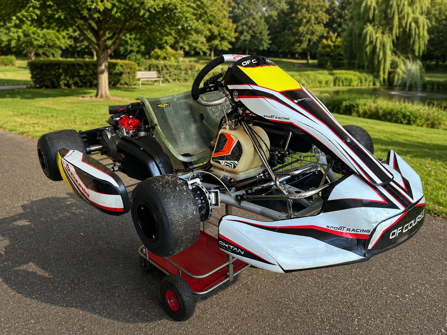 Sodikart met Rotax Max DD2. Inruil van jouw kart is mogelijk, Ophalen, Zo goed als nieuw, Kart