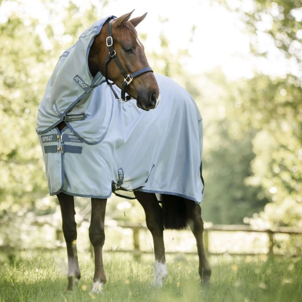 Vliegendeken  Amigo Bug Rug Plus, Dieren en Toebehoren, Paarden en Pony's | Dekens en Dekjes, UK, UK, Nieuw, Ophalen of Verzenden