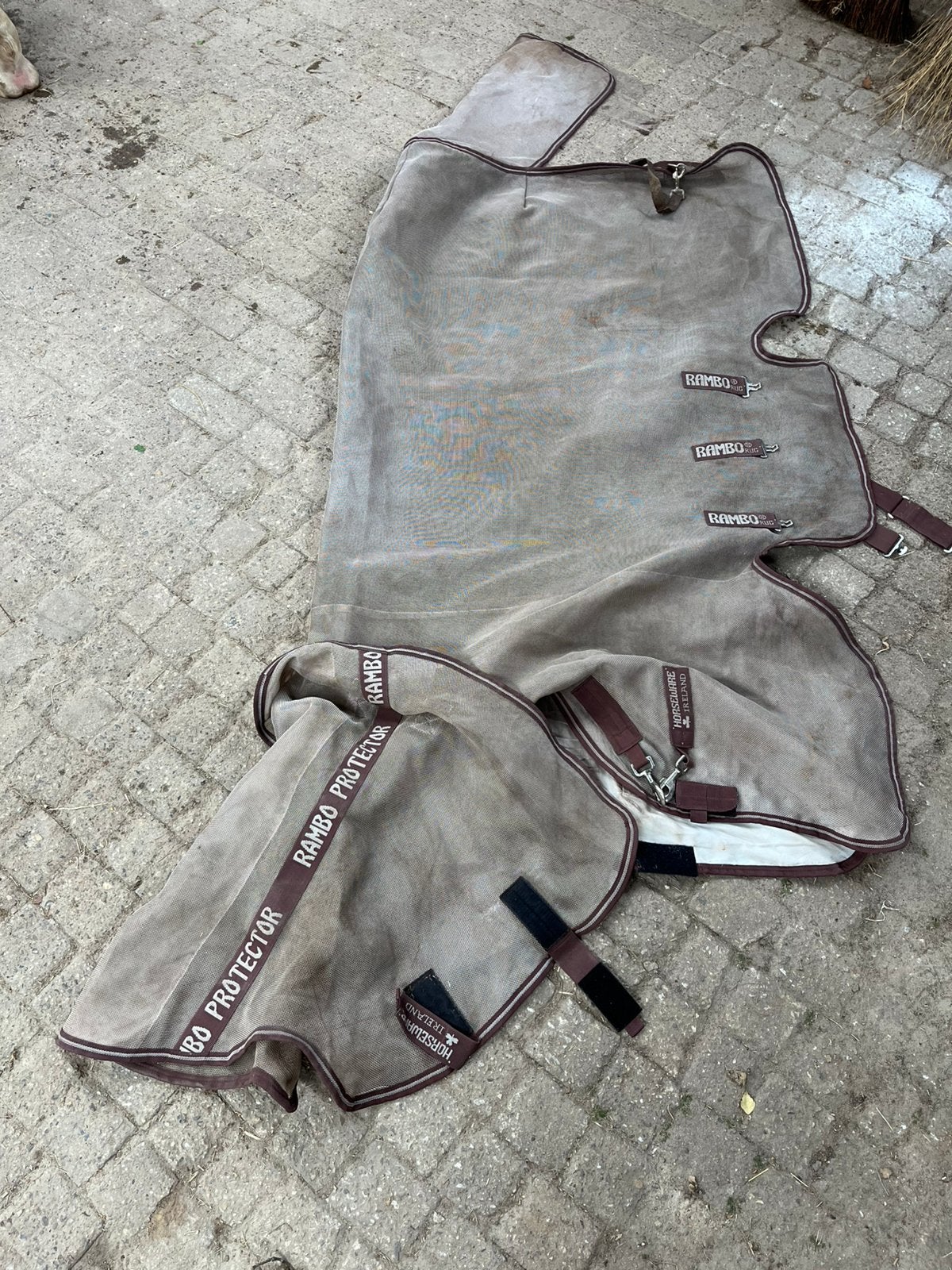 Rambo Optimo maat 6.0, Dieren en Toebehoren, Ophalen of Verzenden, Gebruikt
