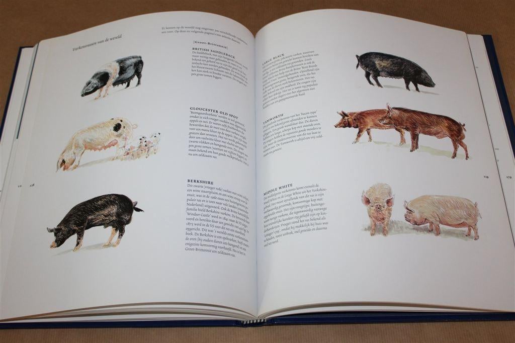 Het varken. Beschrijving in woord en beeld van ontstaan., Ophalen of Verzenden, Zo goed als nieuw