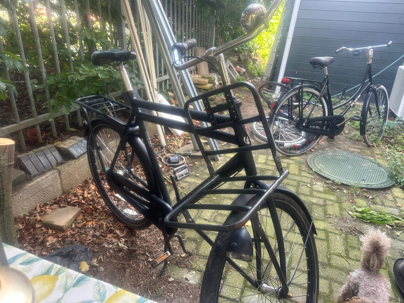 Extra grote Sparta herenfiets stadsfiets, 65 cm of meer, Ophalen, Gebruikt, Sparta