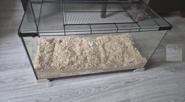 Hamsterkooi Ferplast Jerry 80, Kooi, Gebruikt, Muis, 75 tot 110 cm