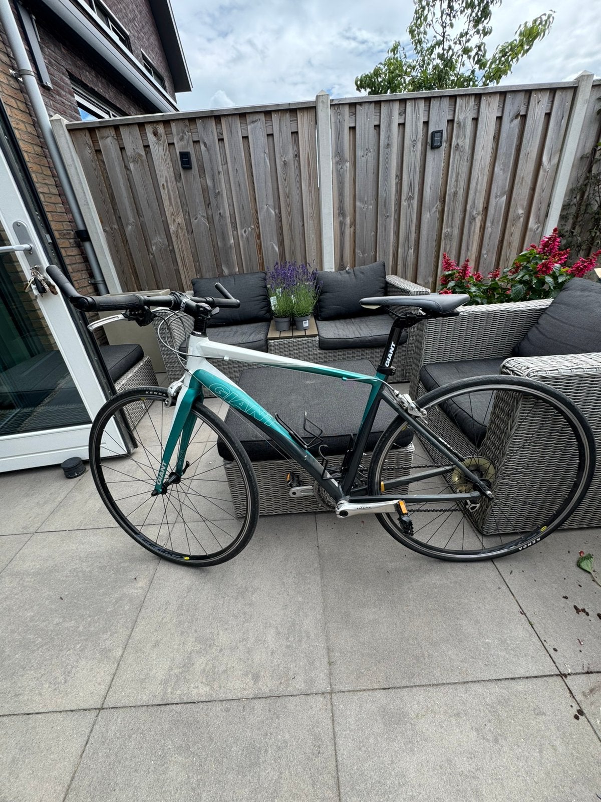 GIANT Racefiets, Ophalen, Gebruikt, Aluminium, Giant