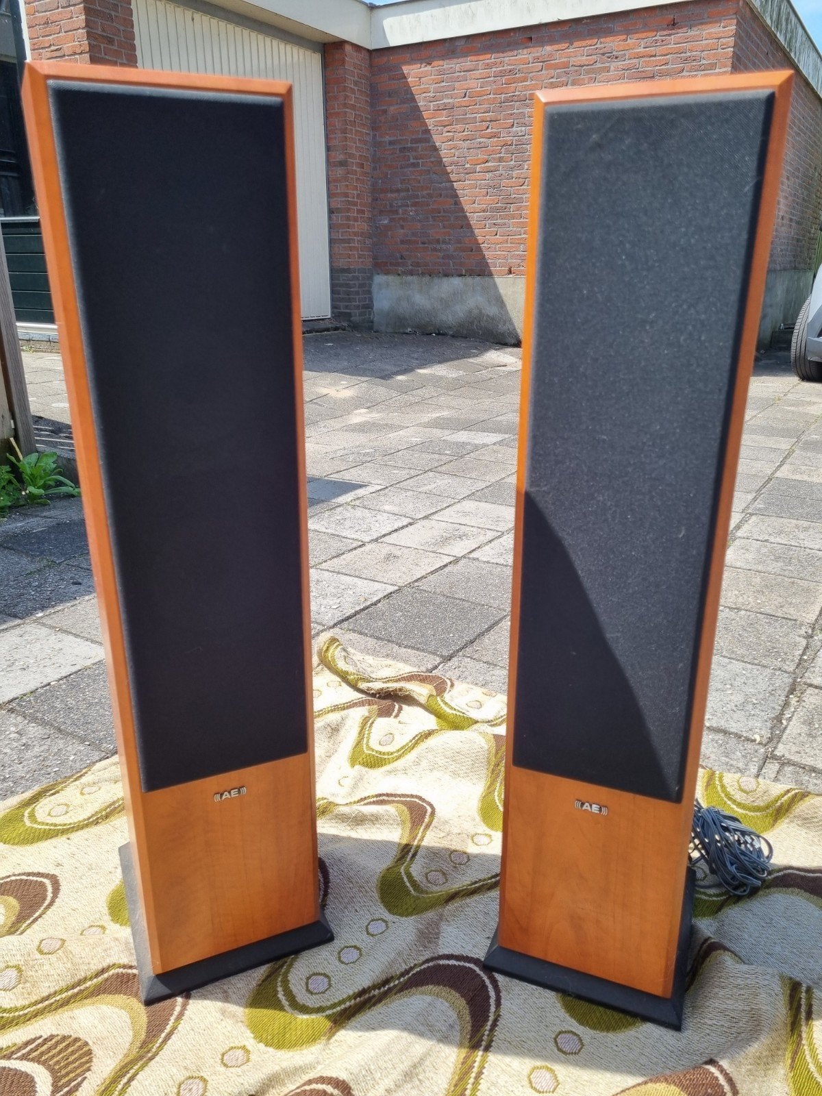 AE Acoustic Energy Aego T Speakers - Slanke Vloerstaanders, Ophalen