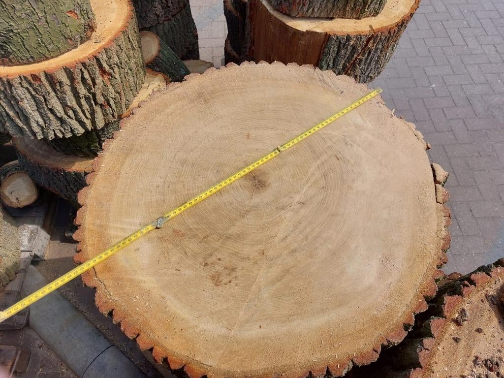 Mooie eikenhouten boomschijn van 63cm doorsnede, Ophalen, Nieuw