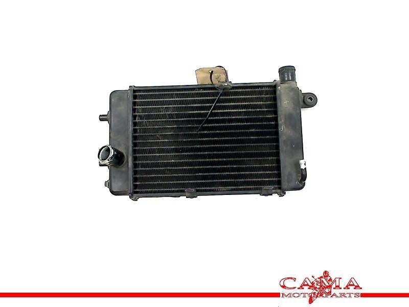 Radiateur Aprilia Tuono RSV 1000 (+ Factory) 2003, Piaggio & C. SpA, Gebruikt, Customer_service@piaggio.com, Viale Rinaldo Piaggio, 25, Pontedera, PI 56025, , Italië