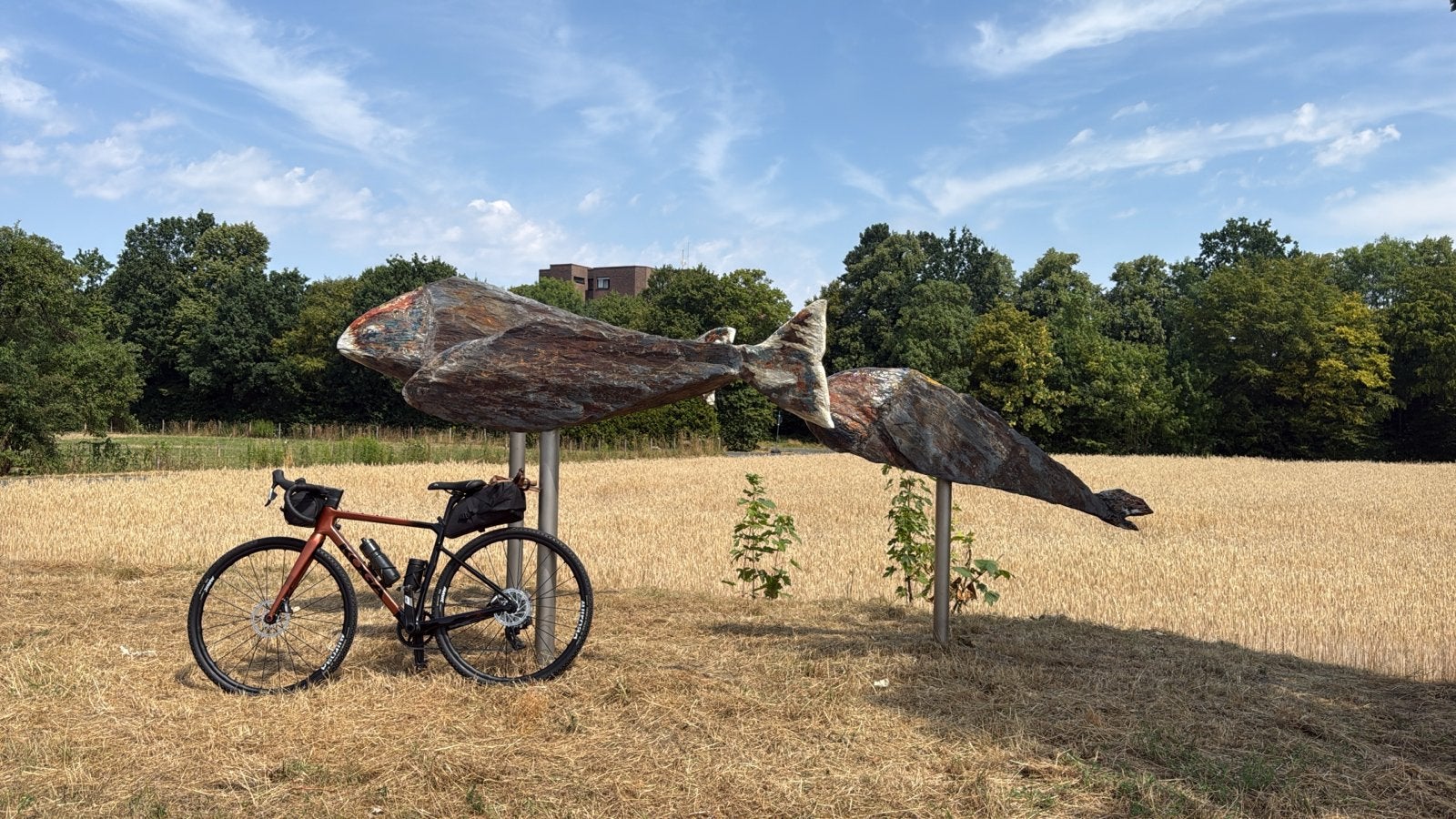 Koga Roqa Allroad SL Gravelbike - Zo goed als nieuw, Carbon, 49 tot 53 cm, Ophalen of Verzenden, 15 tot 20 versnellingen