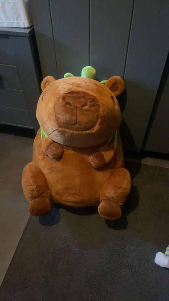 Capybara knuffel, Ophalen, Overige typen, Nieuw, Middelgroot (20 tot 80 cm)