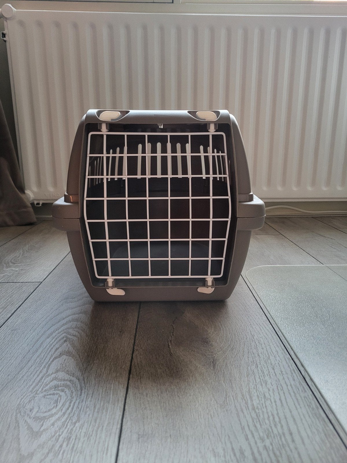 Reismand katten, Dieren en Toebehoren, Ophalen, Zo goed als nieuw