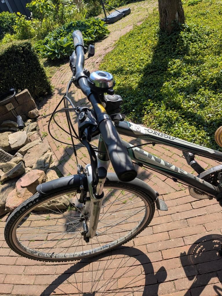 Giant Argento *opknapper *klein prijsje, Fietsen en Brommers, Fietsen | Dames | Damesfietsen, Ophalen, Gebruikt, Velgrem, Versnellingen