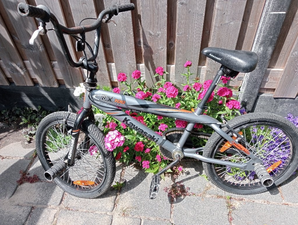 stuntfiets met 4 pegs, Fietsen en Brommers, Fietsen | Jongens, Ophalen, Gebruikt, Kawasaki, Handrem