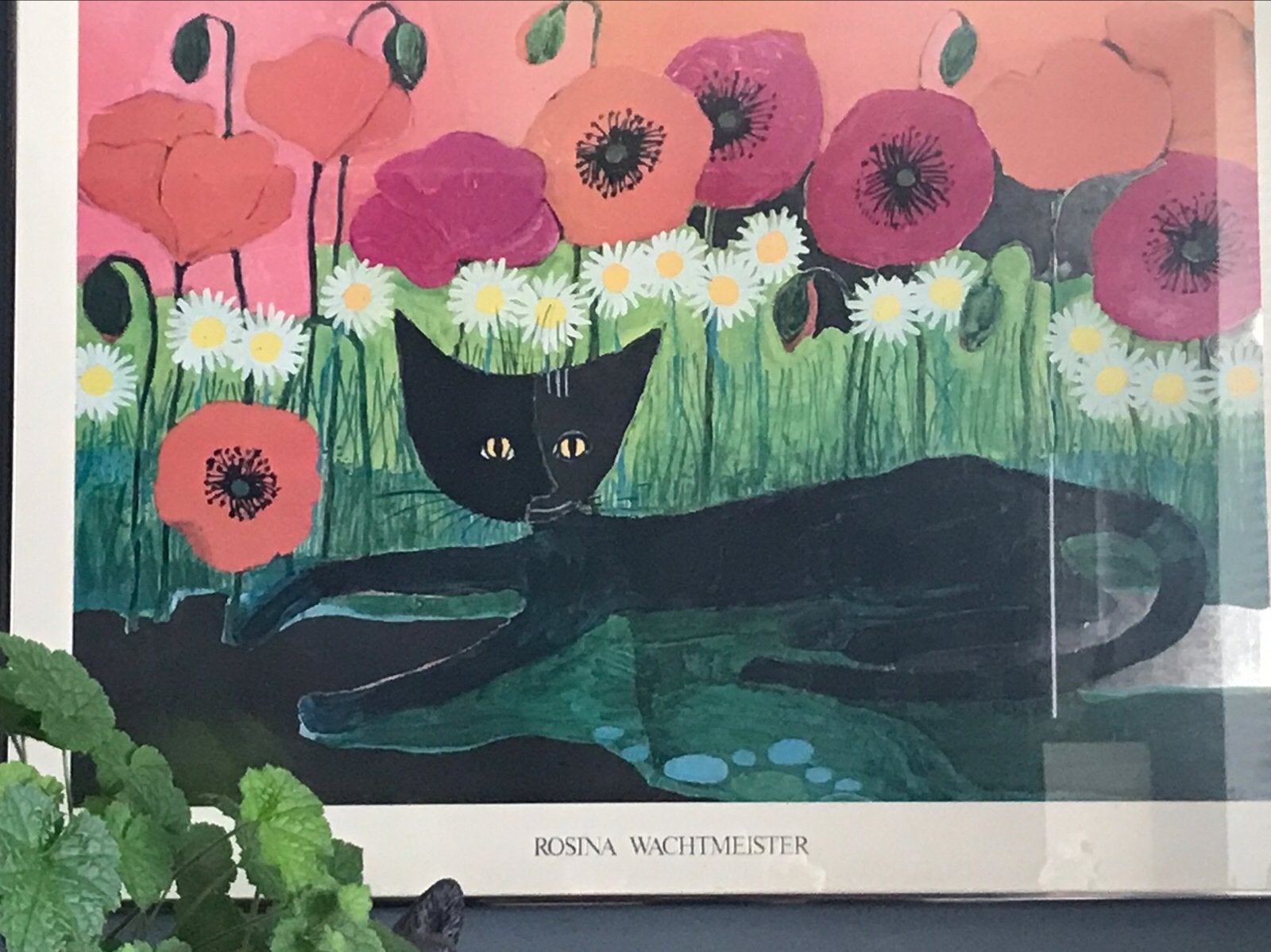 Rosina Wachtmeister Cat Art Print – Black Cat, Ophalen