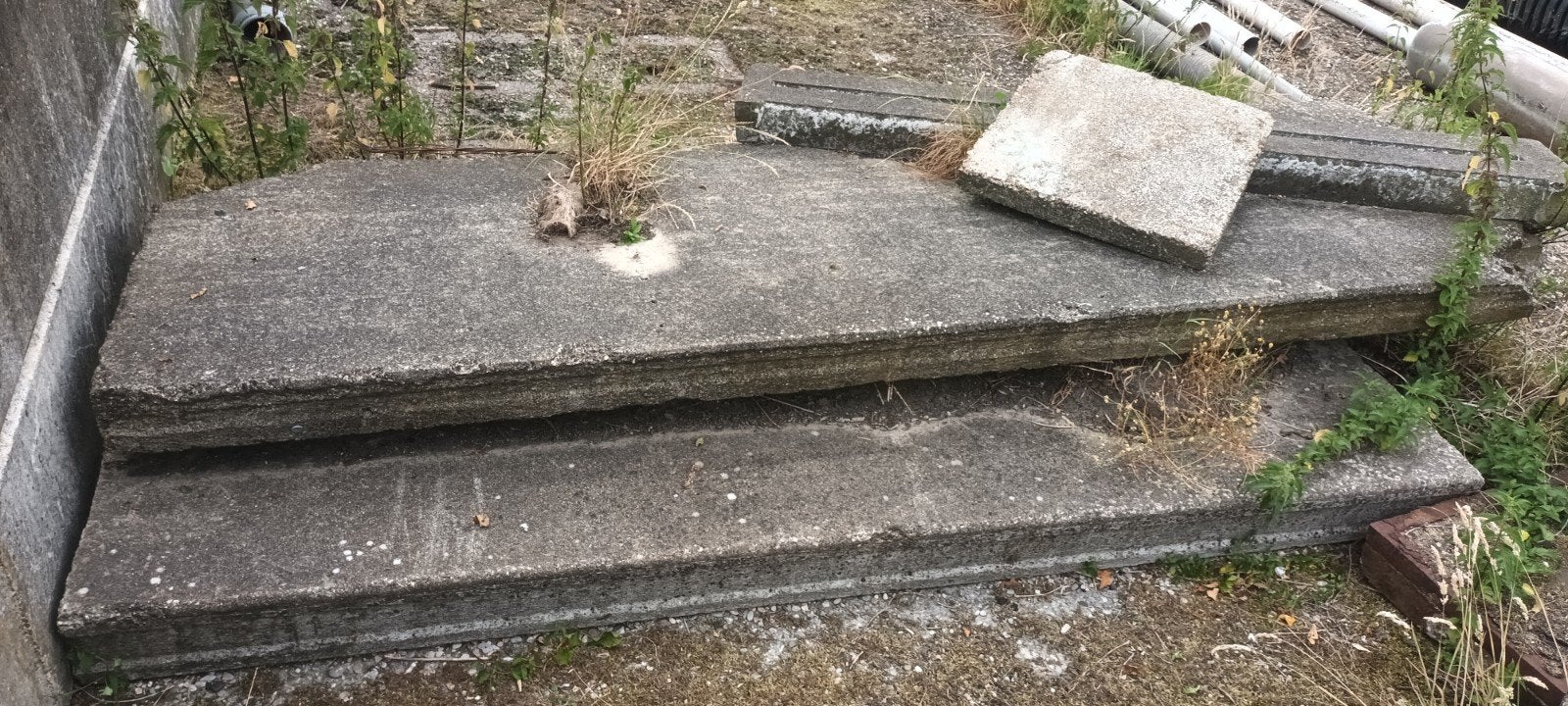 2 Damleggers, Dieren en Toebehoren