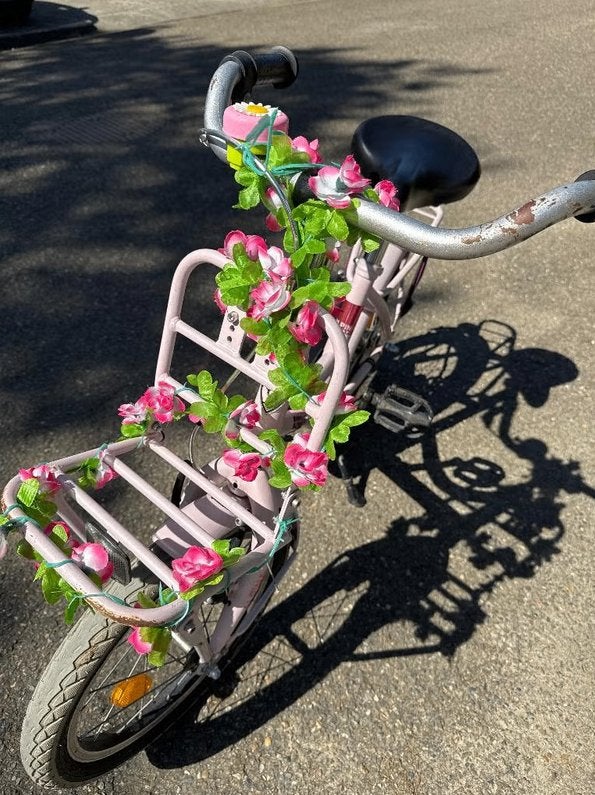 Kinderfiets meisje Alpina Cargo 16 inch, Ophalen, Terugtraprem, Zijwieltjes, Alpina Cargo