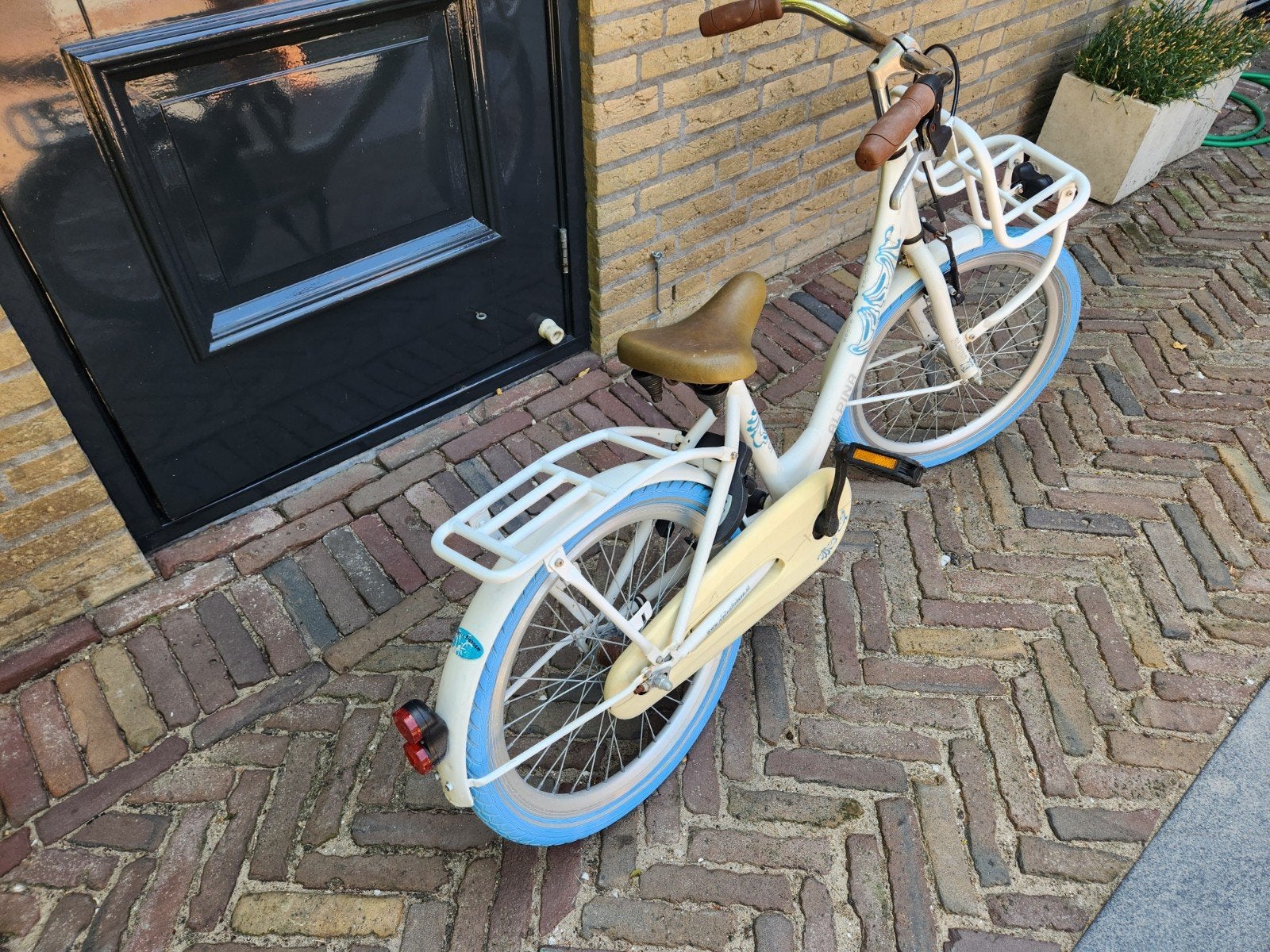 Alpina kinderfiets 20 inch met voordrager en terugtraprem, Ophalen, Terugtraprem, Gebruikt, Alpina