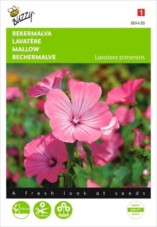 Bekermalva zaden - Roze/Rood - GRATIS VERZENDING, Verzenden, Volle zon