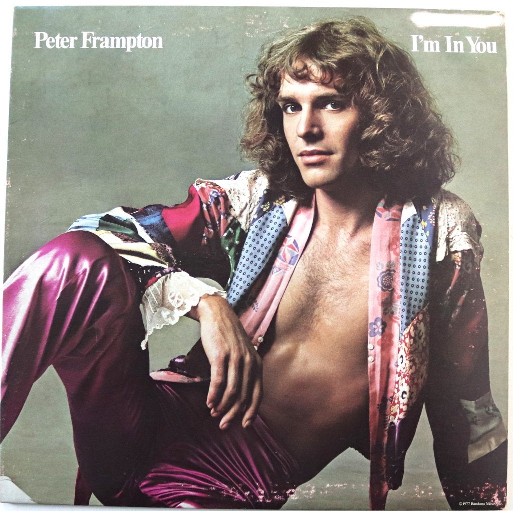 Peter Frampton - I'm In You - LP – 1977, LP, Gebruikt, Ophalen of Verzenden, 12 inch
