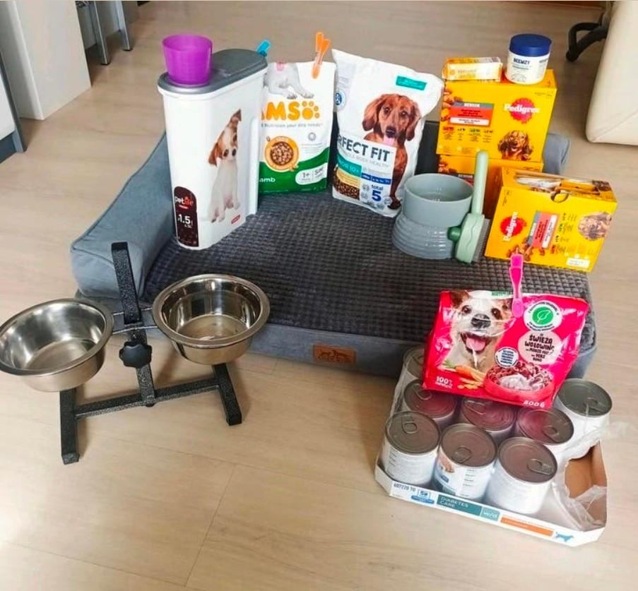Diversen voor een hond, Dieren en Toebehoren, Ophalen