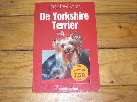 Portret van De Yorkshire Terrier, Ophalen of Verzenden, Gelezen, Honden