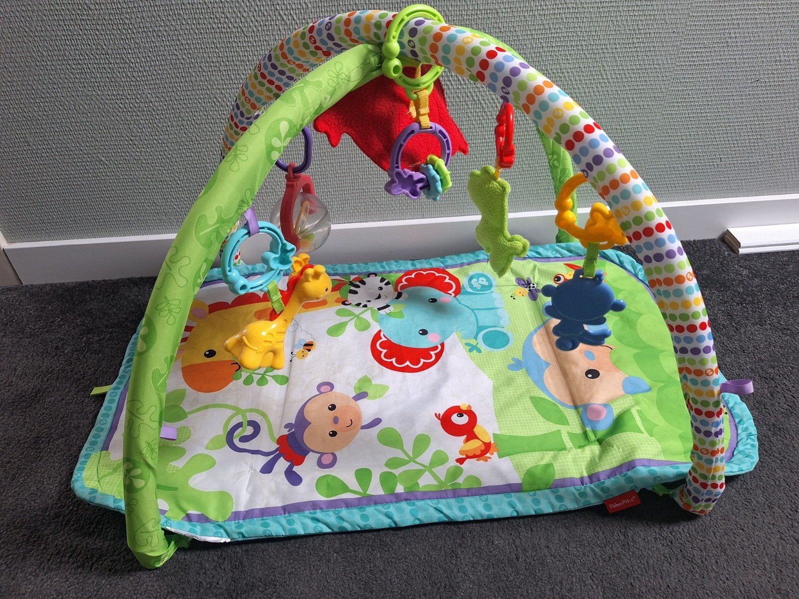 Fisher-Price Speelkleed met Babygym - Jungle Thema, Ophalen of Verzenden, Zo goed als nieuw, Speelkleed