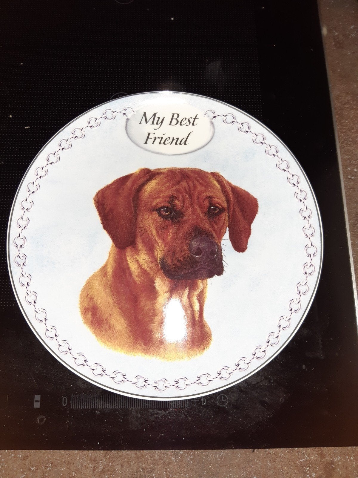 uniek wandbord Rhodesian Ridgeback, Ophalen of Verzenden, Zo goed als nieuw, Dier
