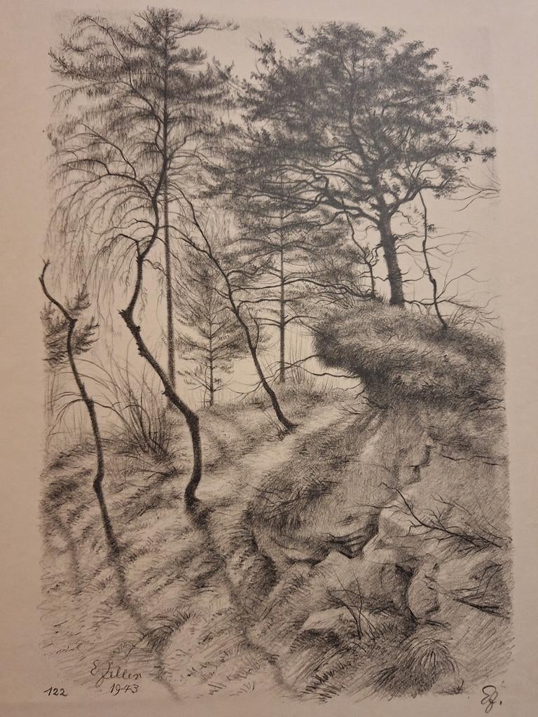 Lithografie duinlandschap van E. Zelten (1943), Ophalen of Verzenden