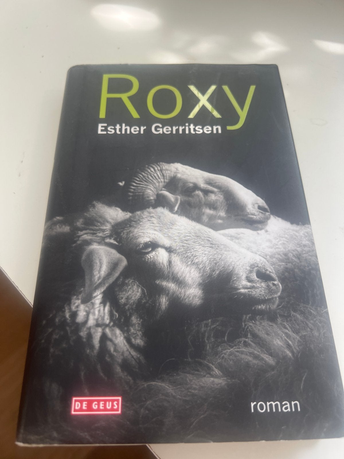 Roxy - Esther Gerritsen (roman), Ophalen of Verzenden, Zo goed als nieuw, Nederland