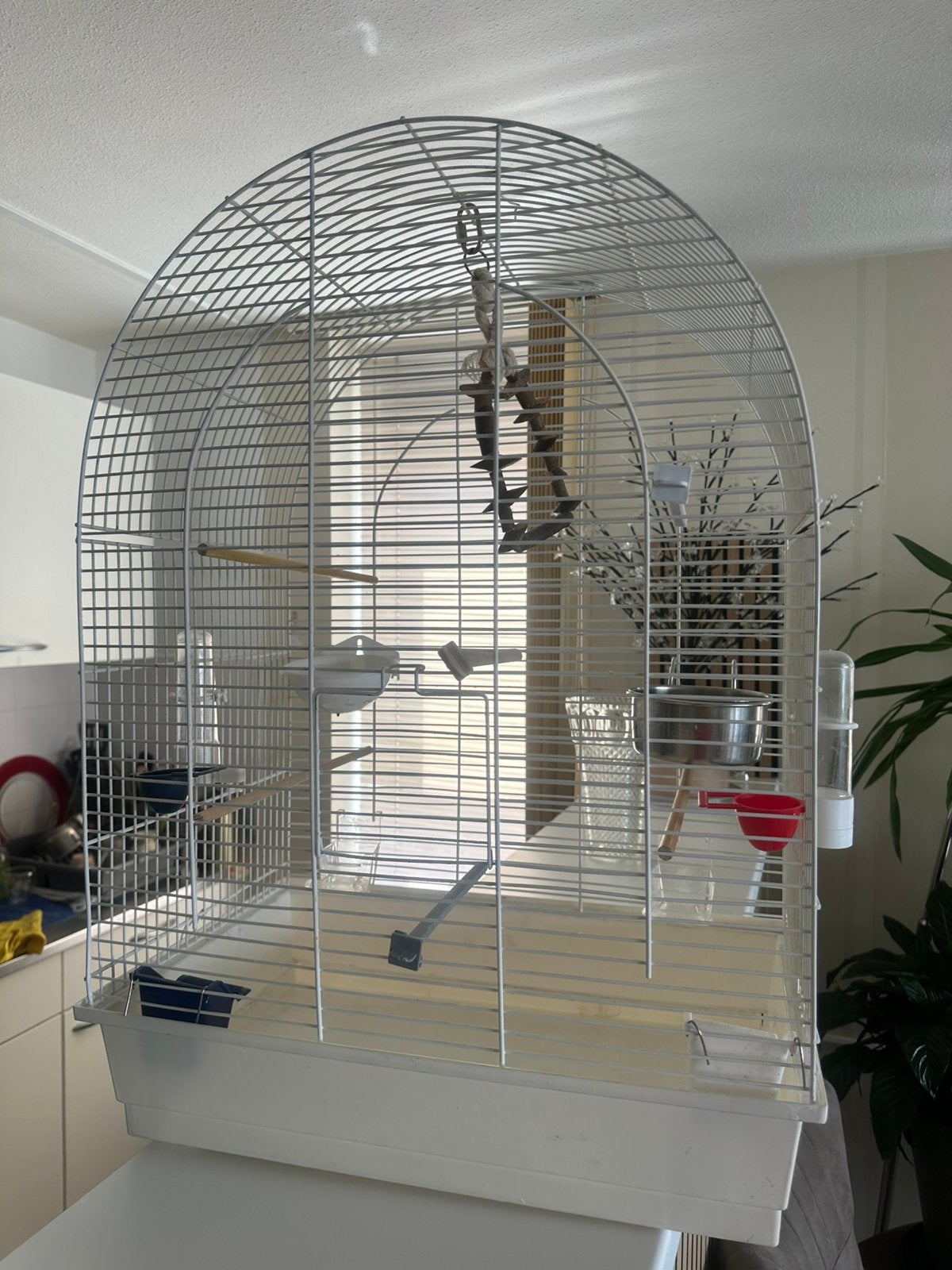 Vogelkooi, Ophalen, Zo goed als nieuw, Metaal, Vogelkooi