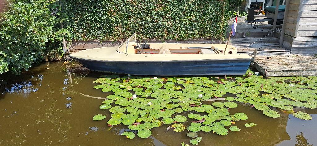 ALMARINE 480 tourspeedboot, Watersport en Boten, Speedboten, Gebruikt, Overige merken, Benzine, Minder dan 70 pk, Buitenboordmotor