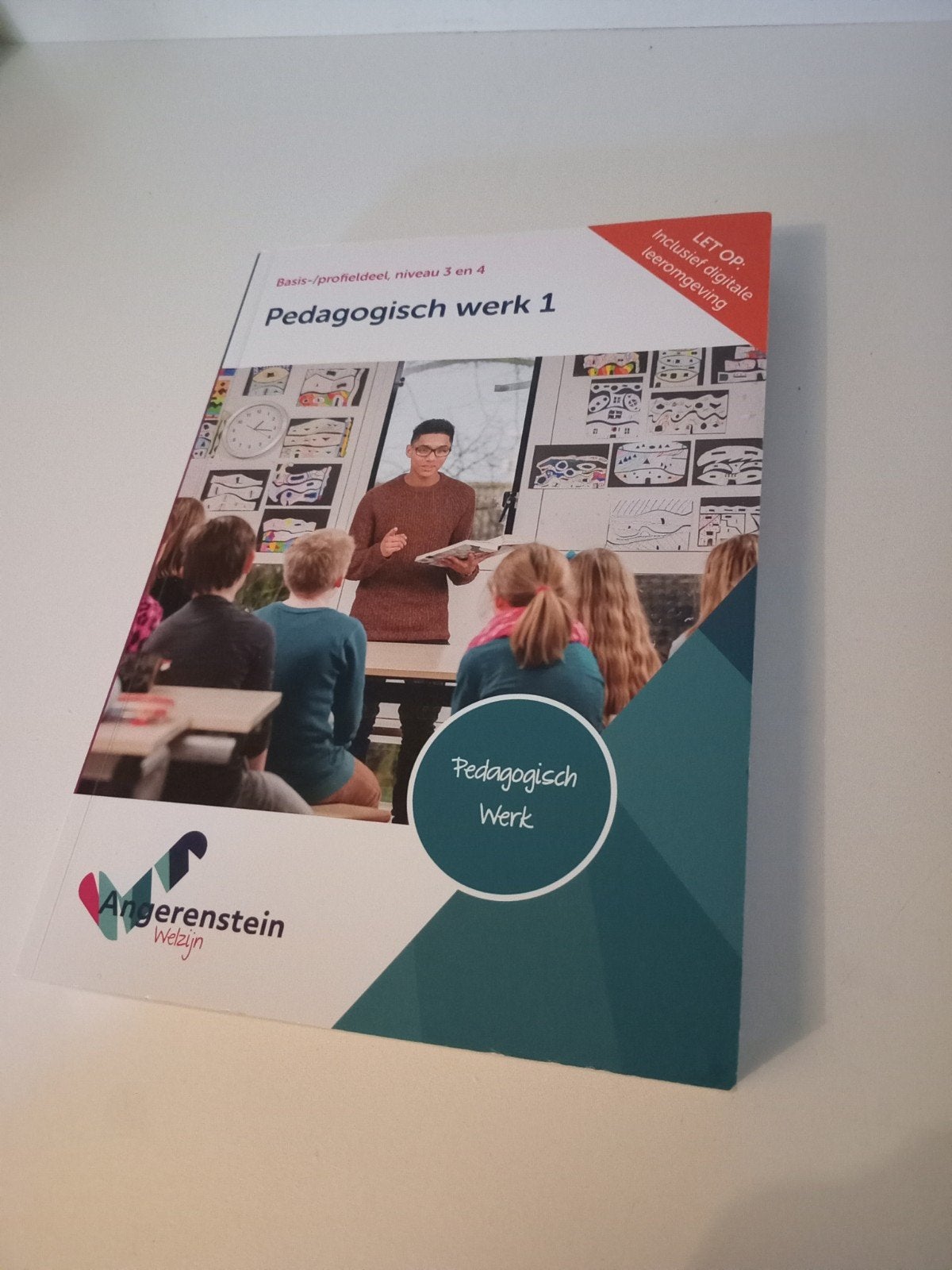 Pedagogisch Werk 1 - Angerenstein Welzijn (Niveau 3 en 4), Boeken, Schoolboeken, VMBO, Overige vakken, Ophalen of Verzenden, Zo goed als nieuw