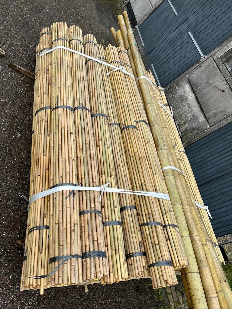 Bonenstokken tonkin bamboestok plantensteun, Ophalen of Verzenden, Nieuw, Overige typen