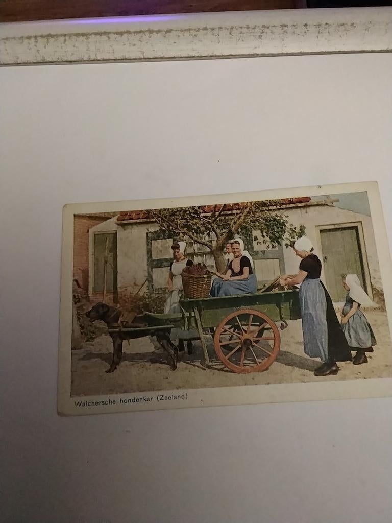 WALCHERSCHE  HONDENKAR. (ZEELAND), Verzamelen, Ophalen of Verzenden, Voor 1920, Klederdracht