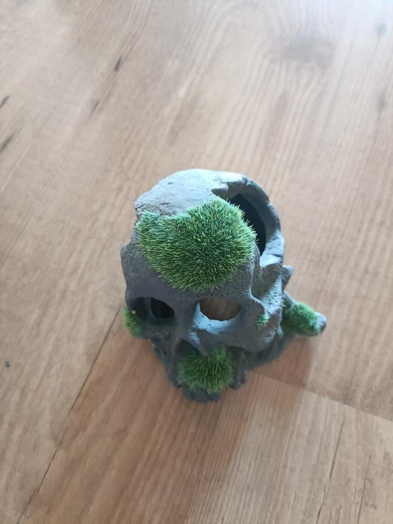 Aquarium Accessoires, Dieren en Toebehoren, Ophalen, Zo goed als nieuw, Leeg aquarium
