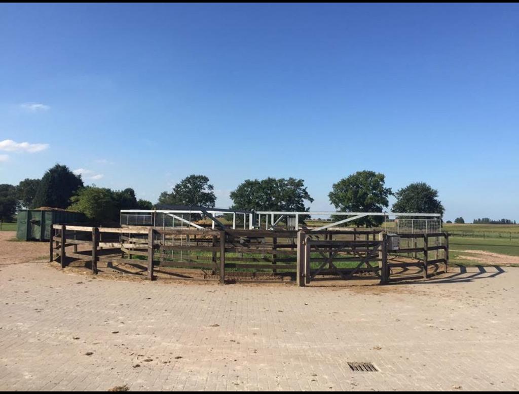 Paardenstallen, Dieren en Toebehoren, Stalling en Weidegang, Stalling, 4 paarden of pony's of meer