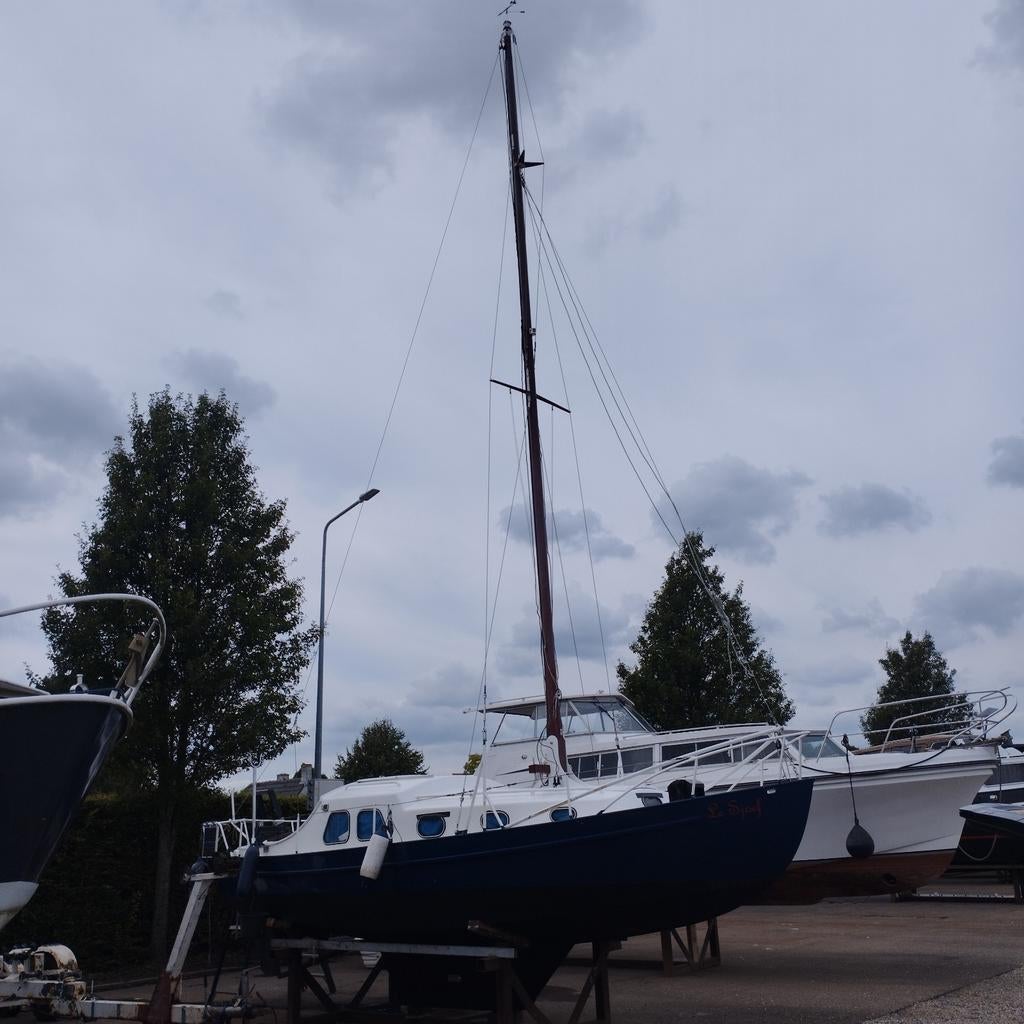 Biesbosch kruiser incl trailer, Ophalen, Gebruikt, Staal, Diesel