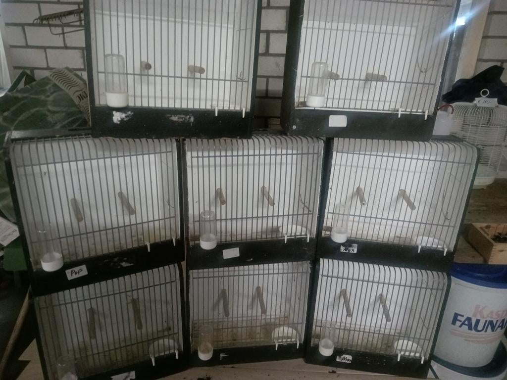 Te Koop, tentoonstelling kooien., Dieren en Toebehoren, Ophalen, Hout, Vogelkooi